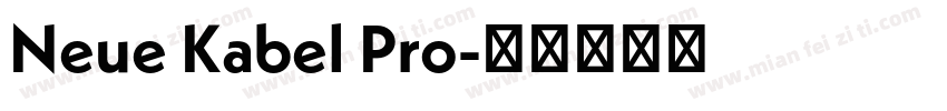 Neue Kabel Pro字体转换